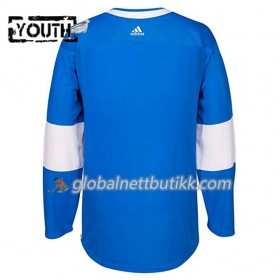 Finland Hockeydrakt Blank World Cup i ishockey 2016 Blå Premier - Barn